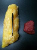 omega 3